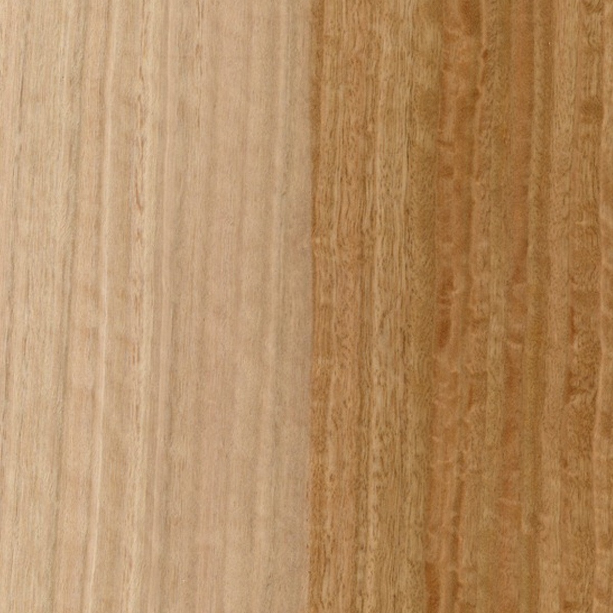 RoHol Панель Sauna-Ply 16 мм Эвкалипт 1,0×1,0 м фотография