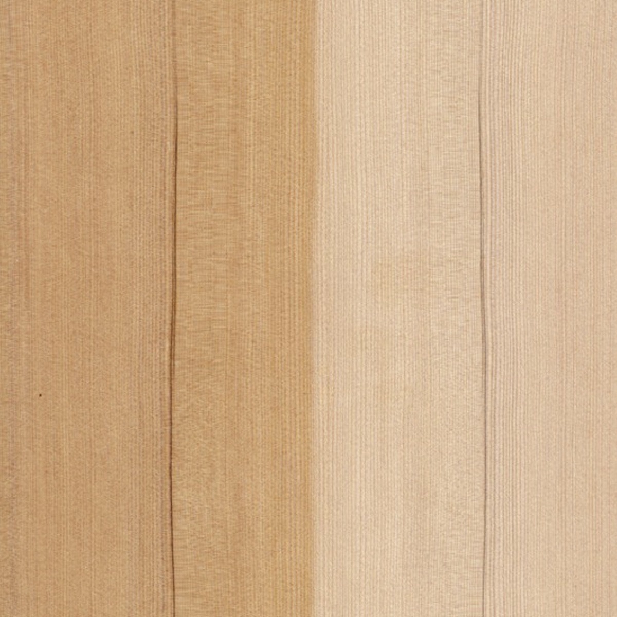 RoHol Панель Sauna-Ply 16 мм Канадская ель (Хемлок) 1,0×1,0 м фотография