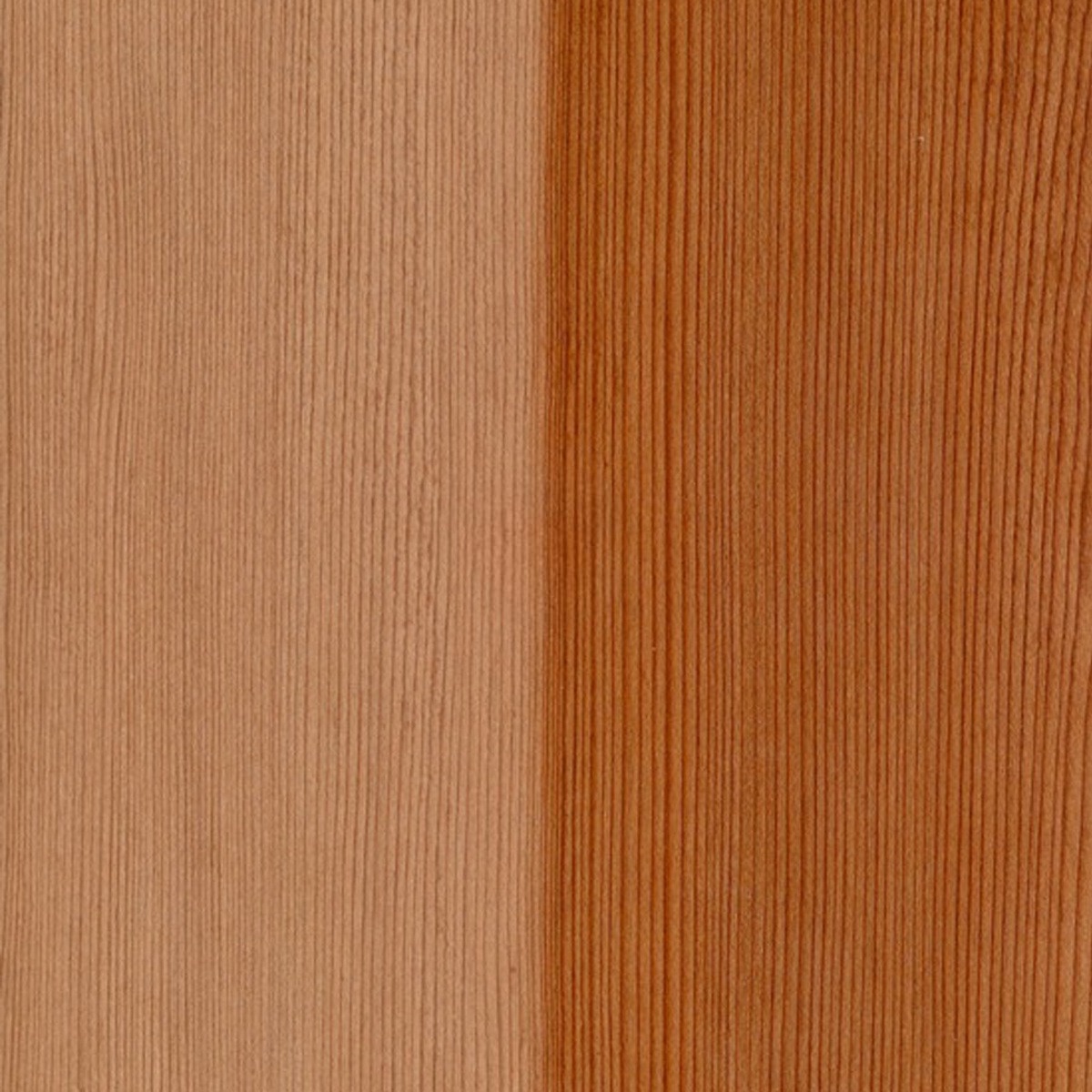 RoHol Панель Sauna-Ply 16 мм Кедр красный 1,0×1,0 м фотография